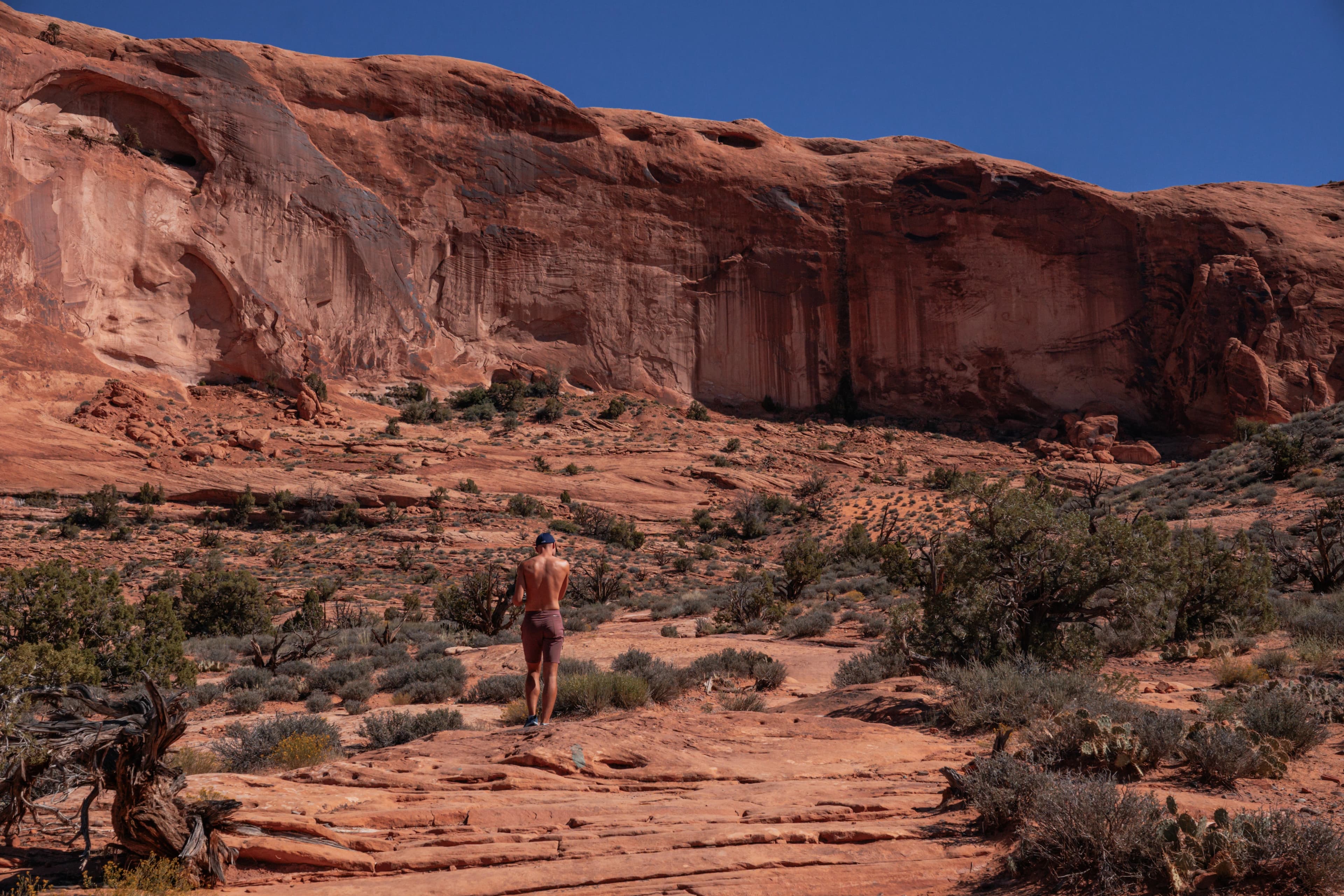 Roadtrip przez parki